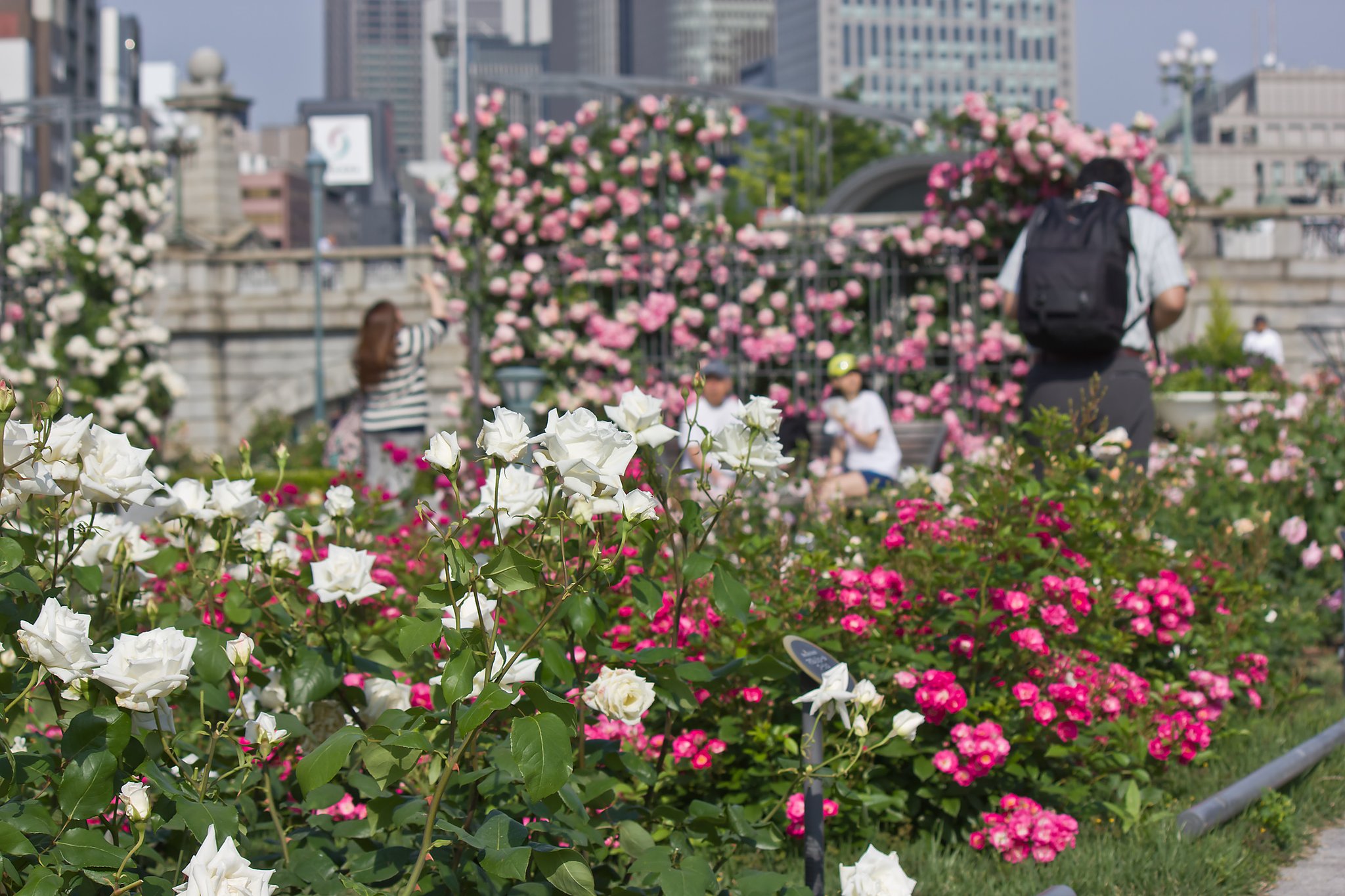 中之島公園