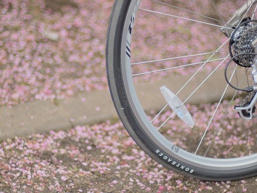 コシナフォクトレンダーNOKTON50mm F1.1