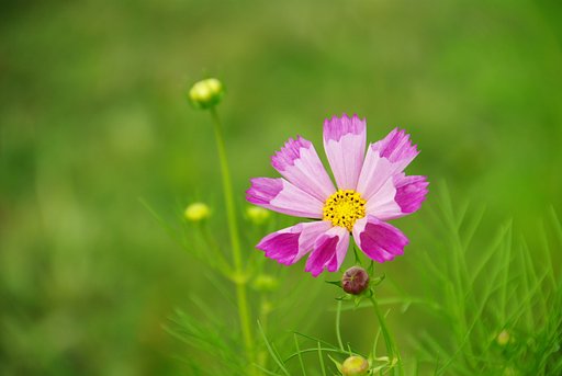 【春夏秋冬】秋を愉しむ