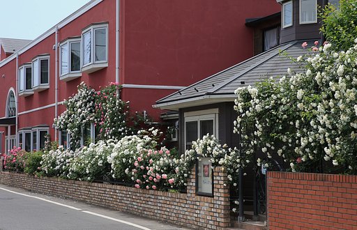 薔薇の幼稚園