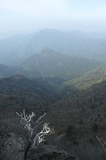 二万年前の世界