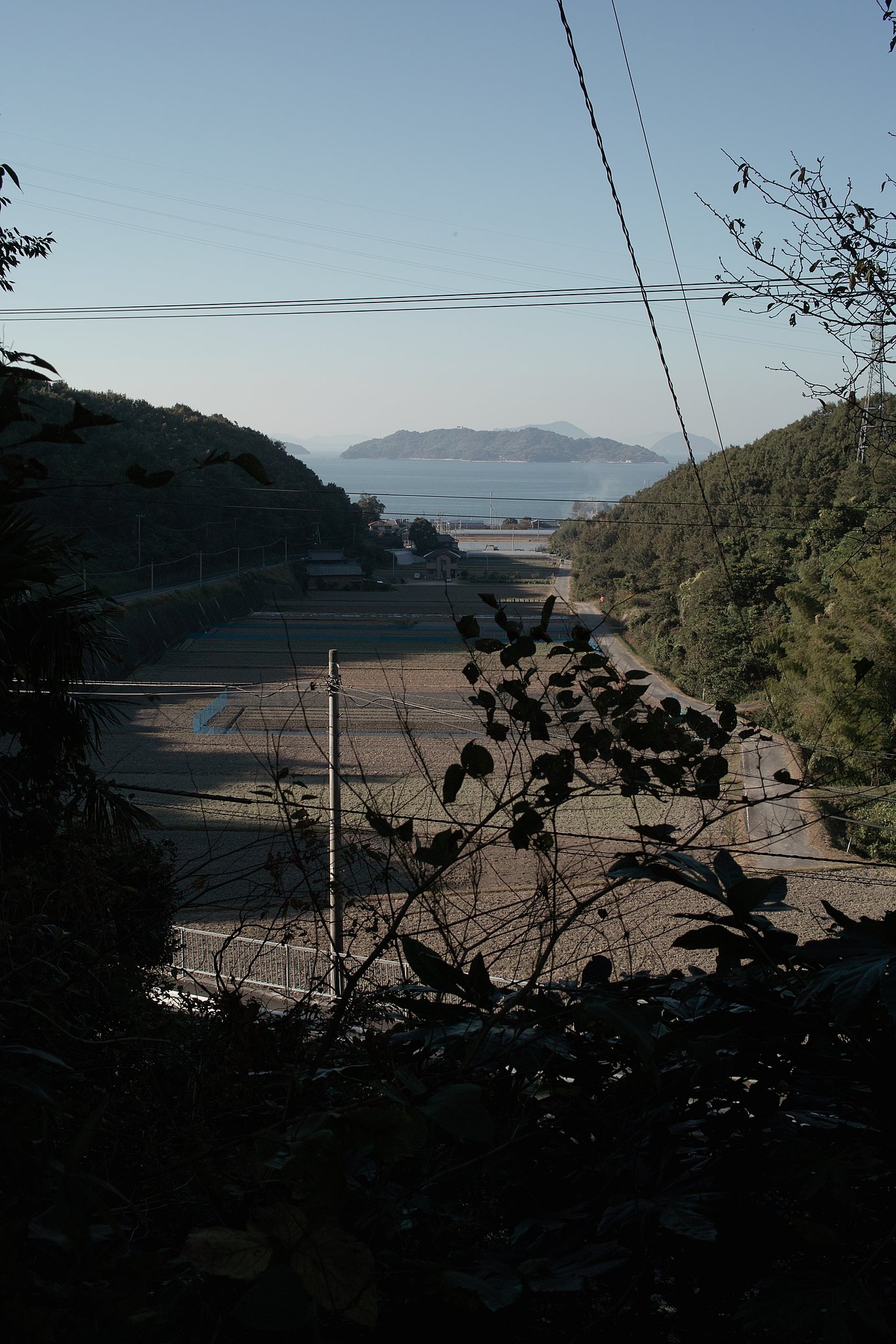 電線だって面白い2