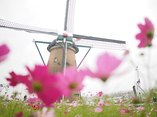 Panasonic LEICA DG SUMMILUX 15mm/F1.7 ASPH.