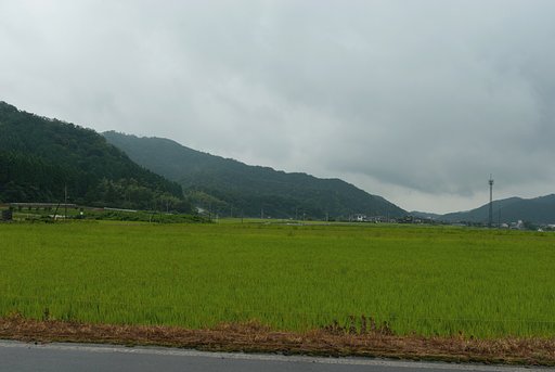 午後は雨降り。