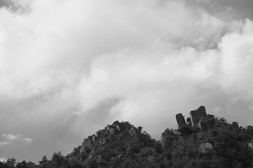 山