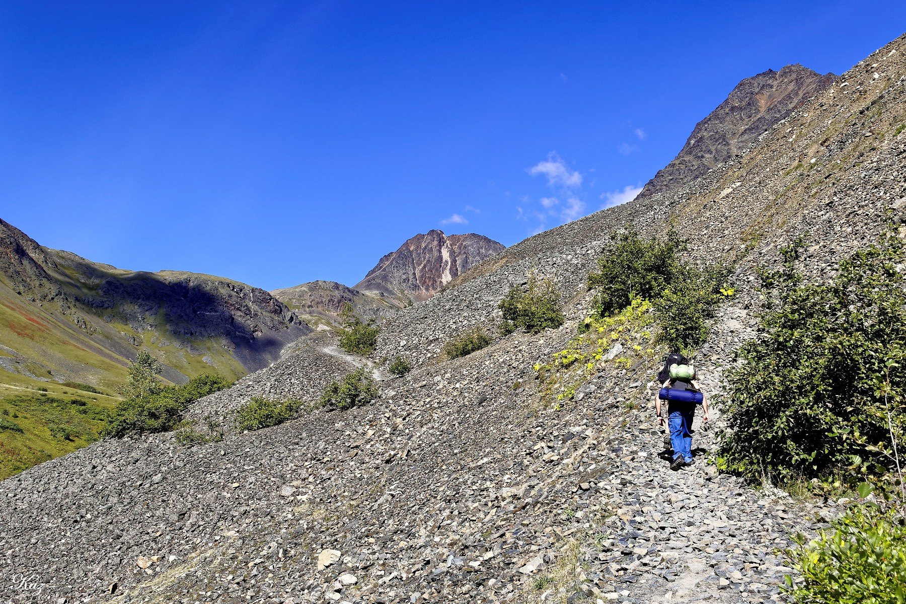 Pack Trail