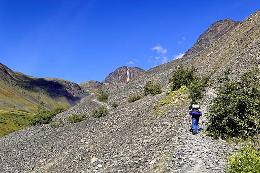 Pack Trail