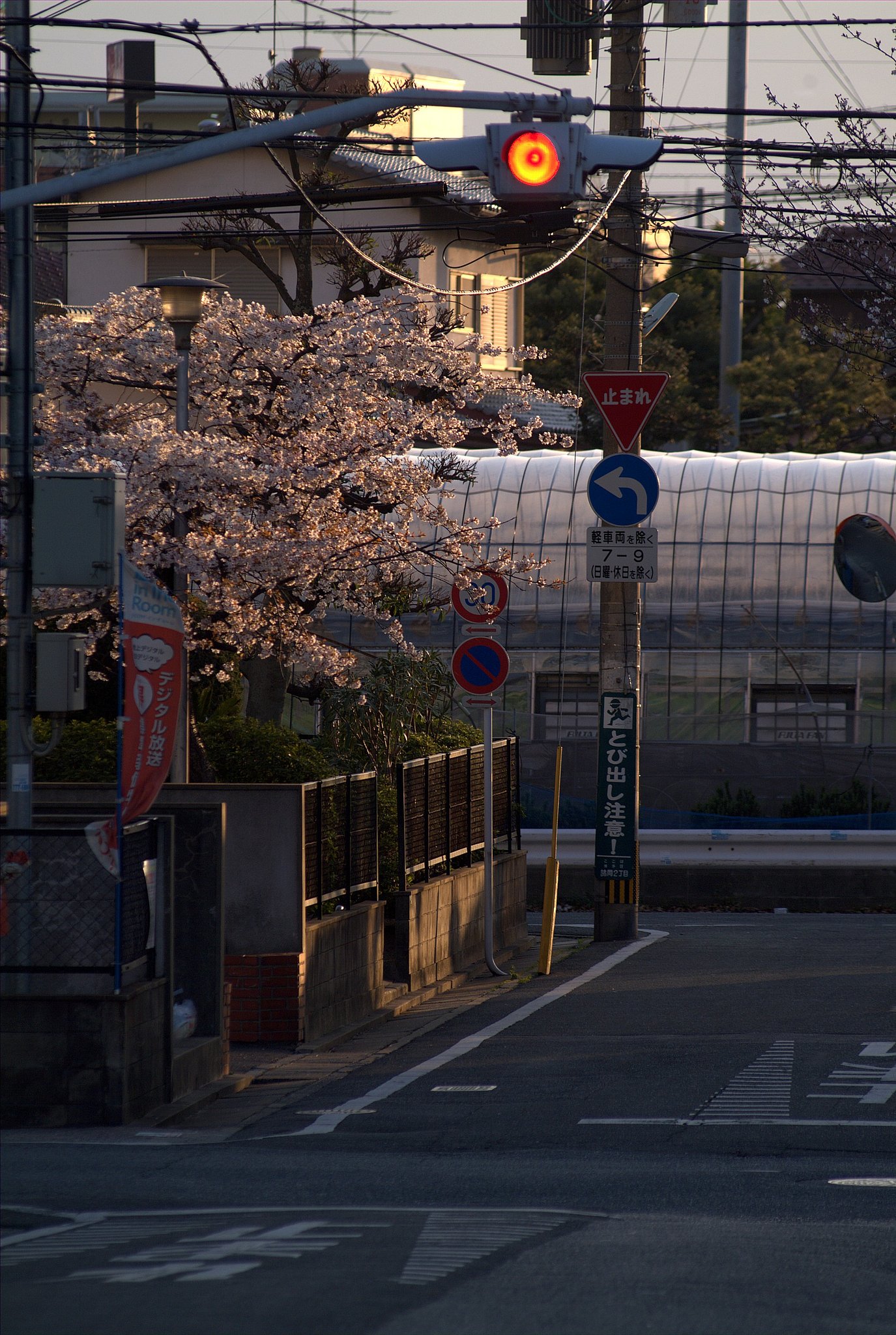 帰り道・今日はどこに寄り道しようかな・・