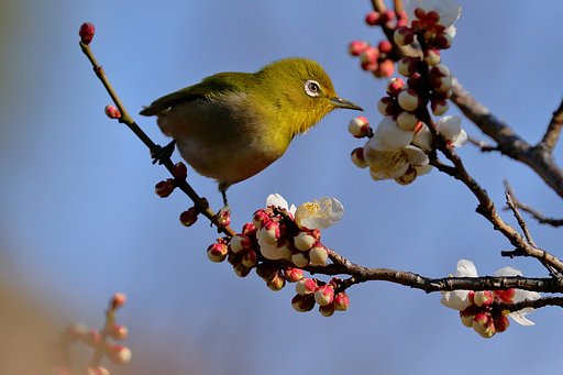 様子見