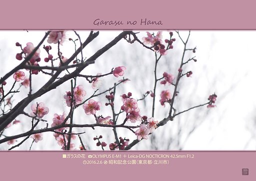 ガラスの花（トリミング版）