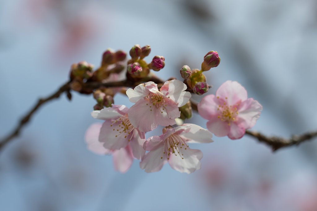 EF100mm F2.8 L IS MACRO