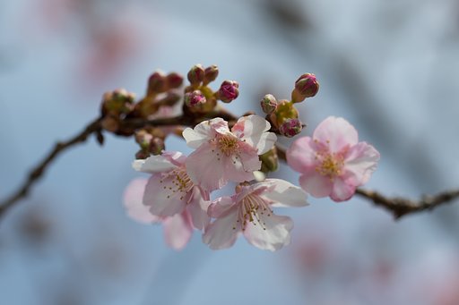 EF100mm F2.8 L IS MACRO