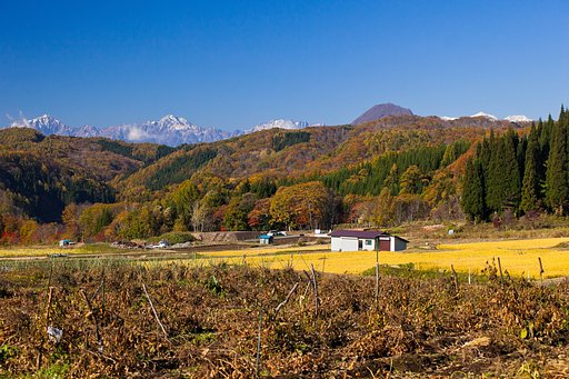 里山の風景