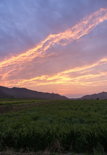 真っ赤な夕焼け!