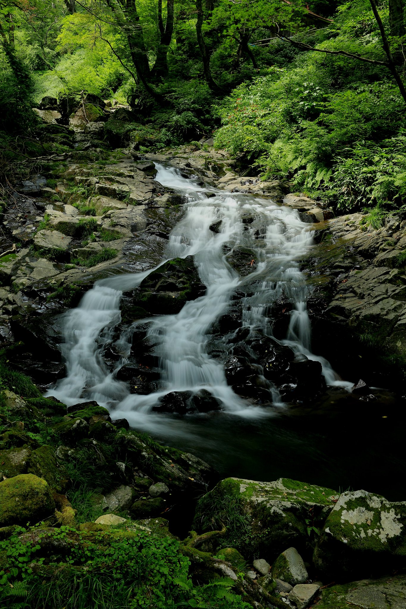 Flow