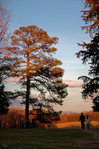 Petersburg National Battlefield