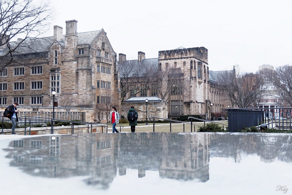 エール大学構内