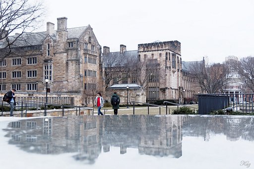 エール大学構内