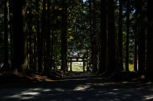 鳥居