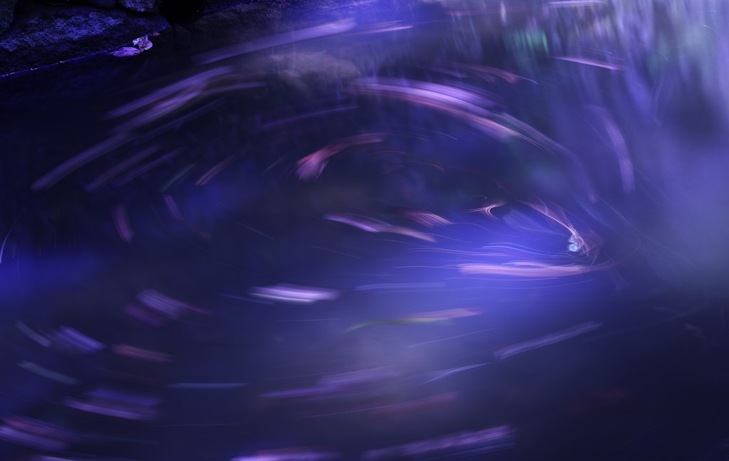 幻想協奏曲