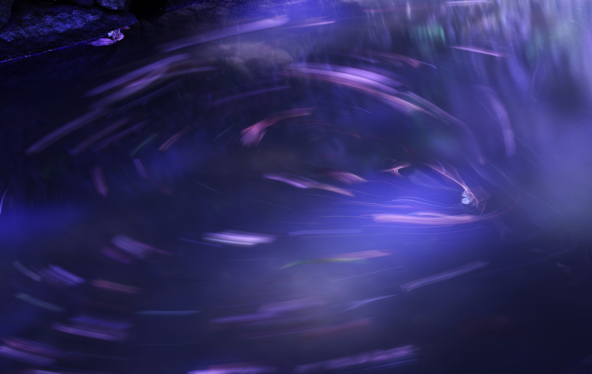 幻想協奏曲