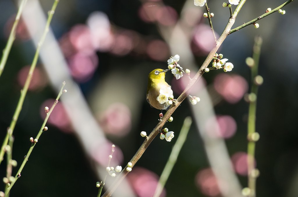 誘われて・・Ⅱ