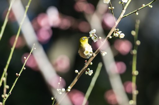 誘われて・・Ⅱ