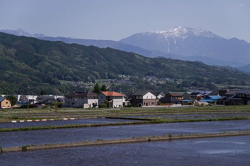 仙丈ヶ岳