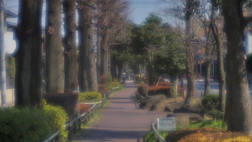 私の散歩道