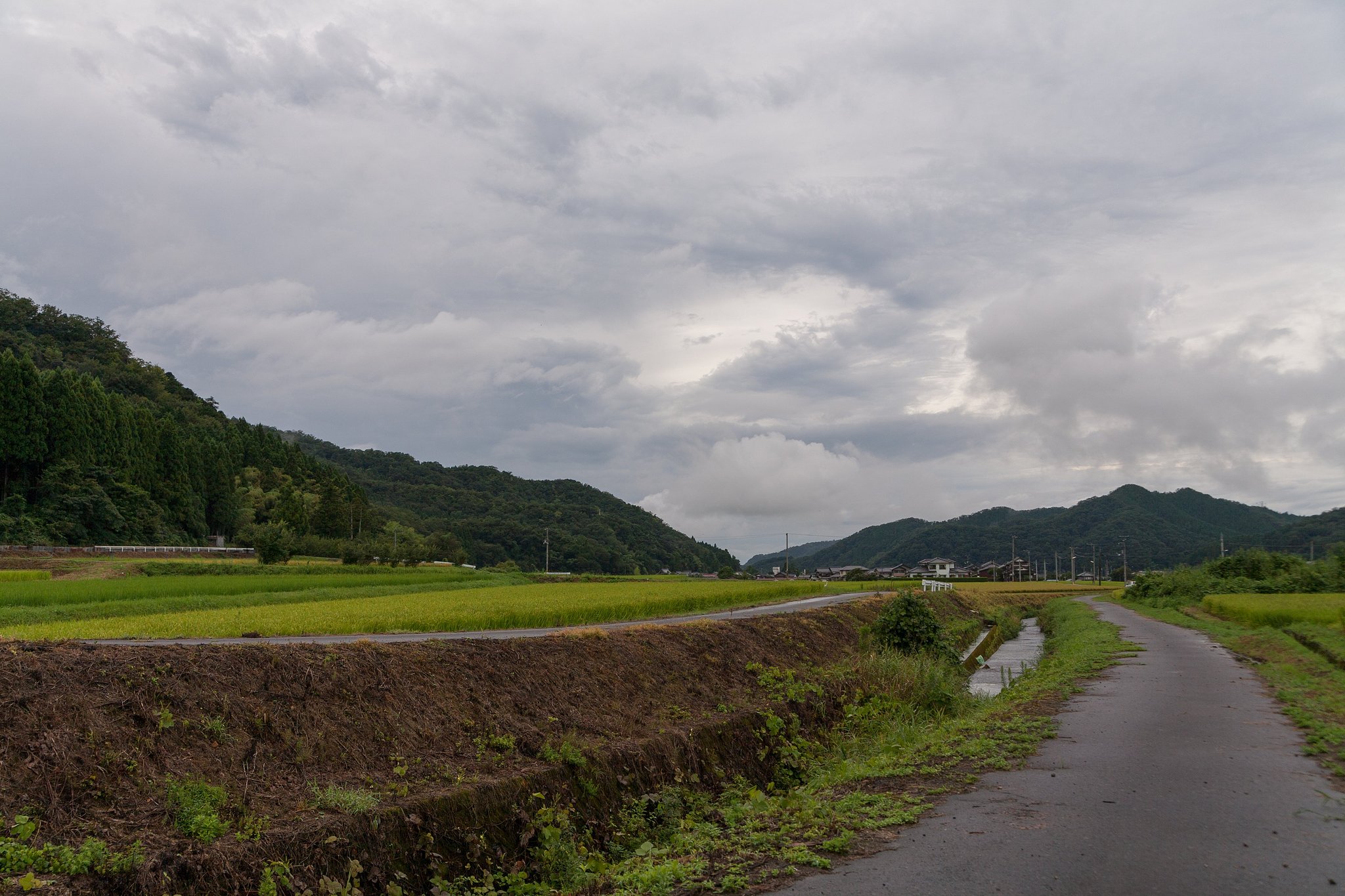 戻り梅雨?