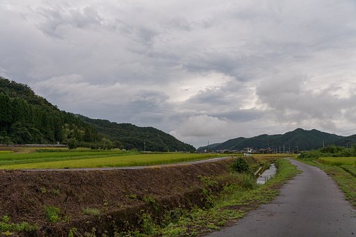 戻り梅雨?