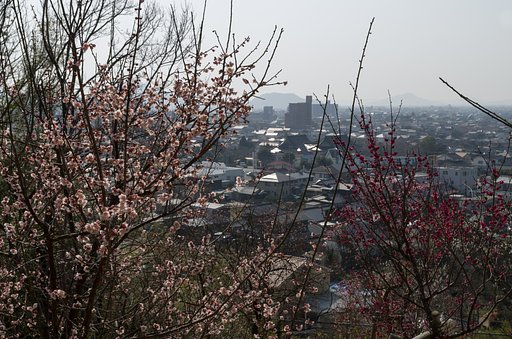 天神山