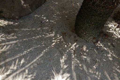 禅寺　〜光と影〜