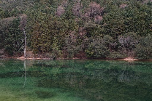 1月15日の写真