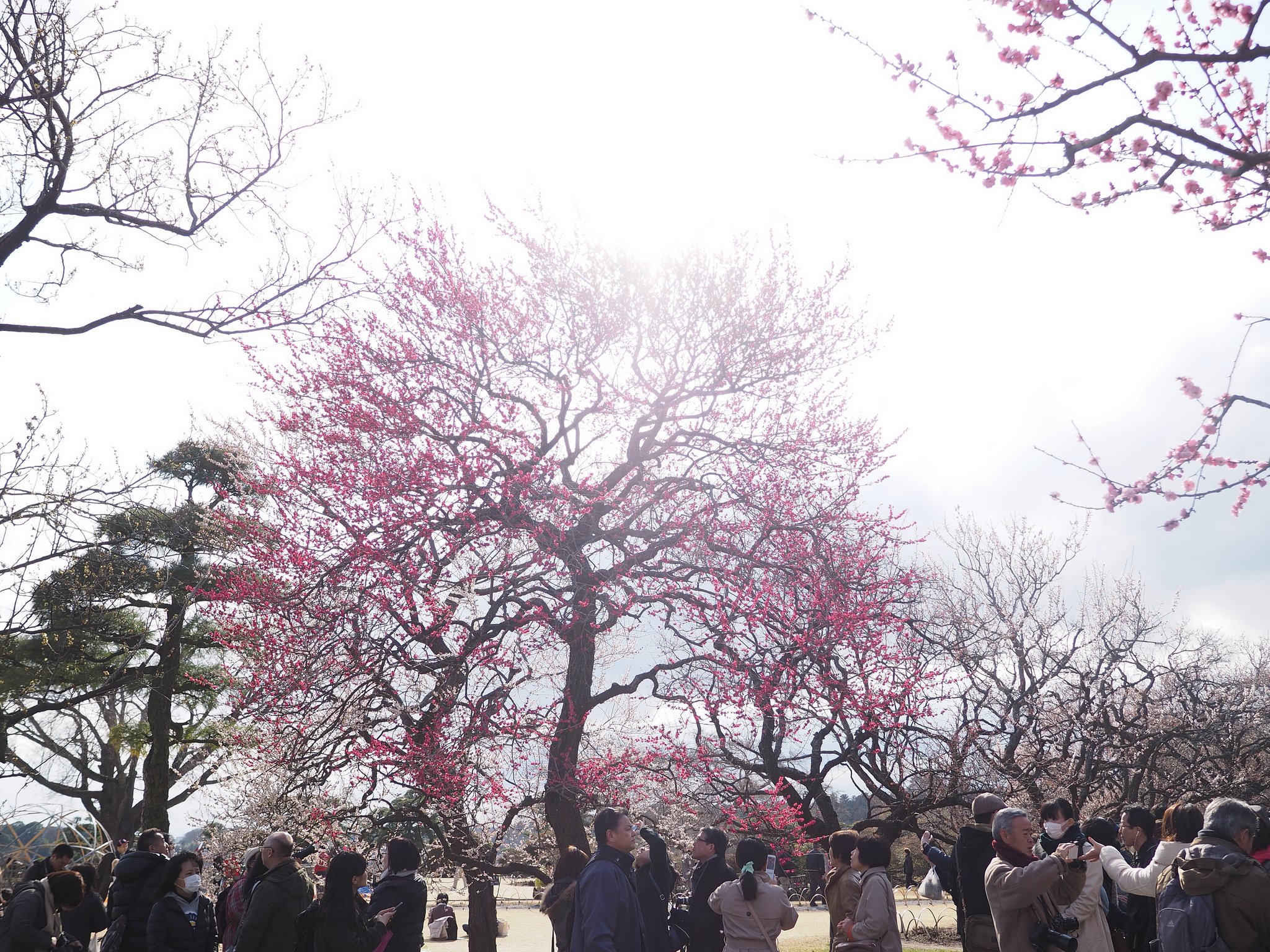 圧倒的な・・・