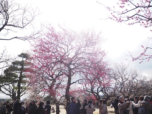 圧倒的な・・・