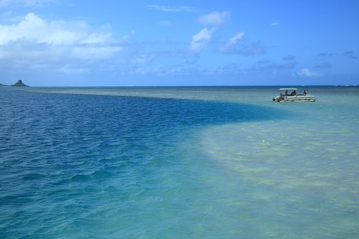 天使の海