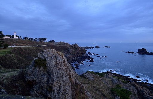 鮫灯台