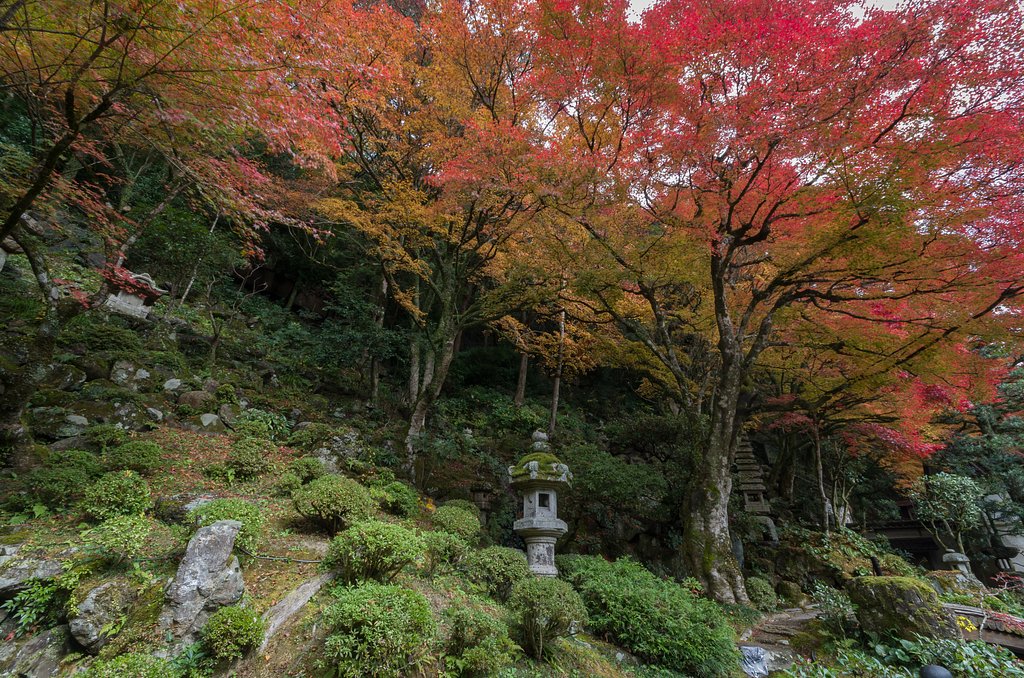 庭園
