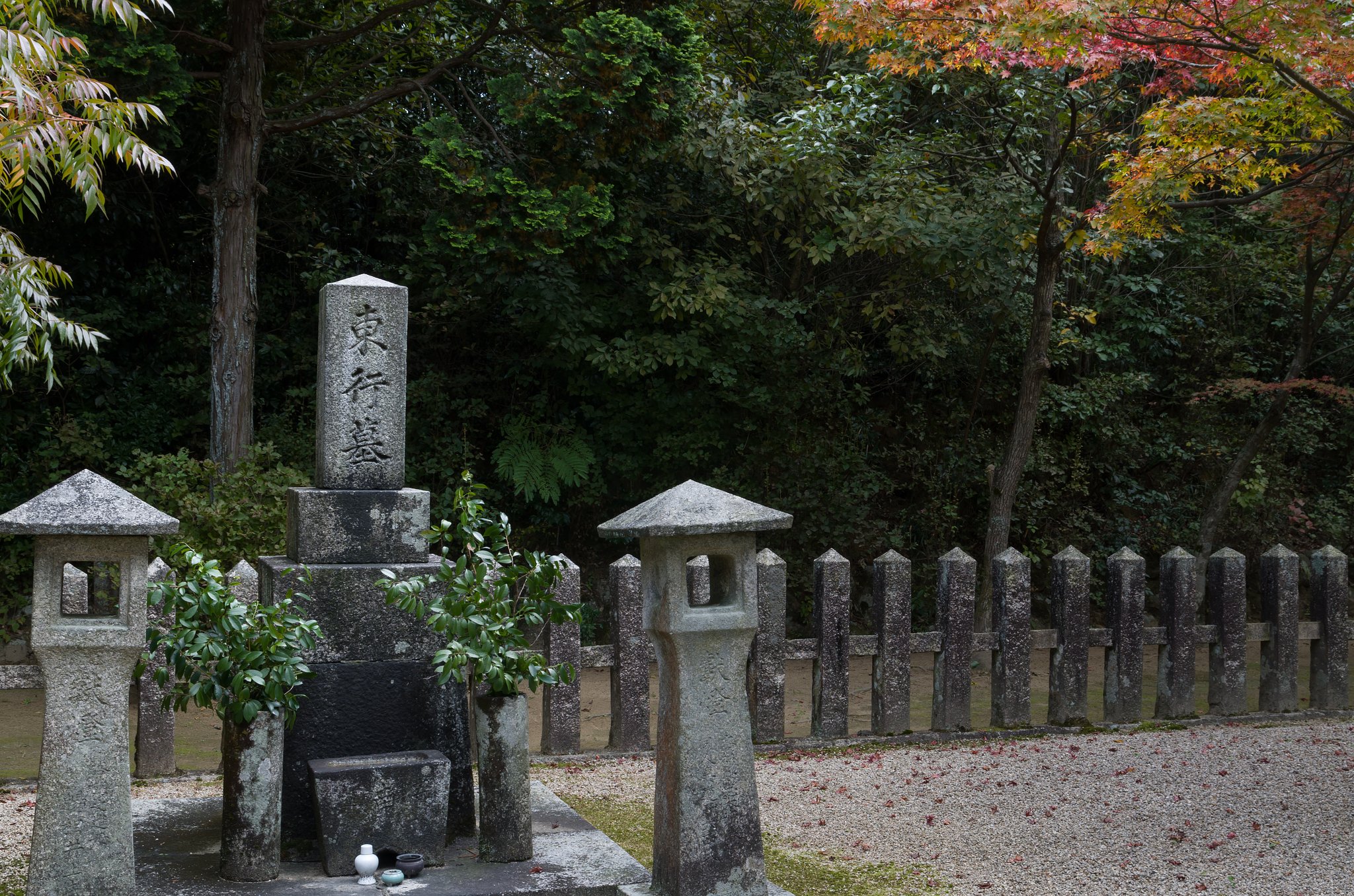 紅葉
