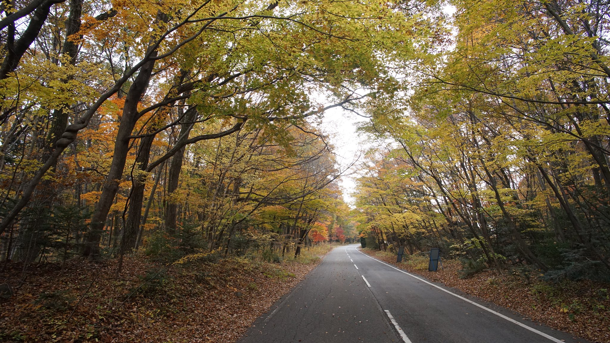 山路にて