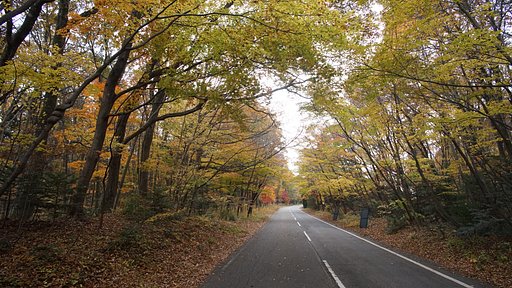 山路にて