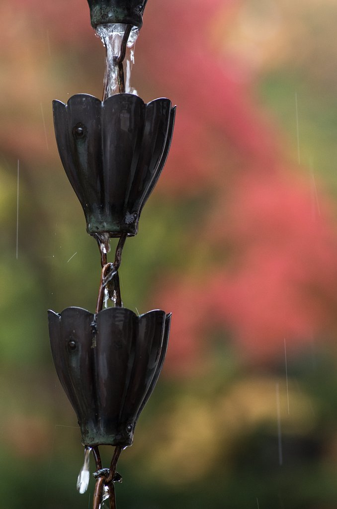 秋雨