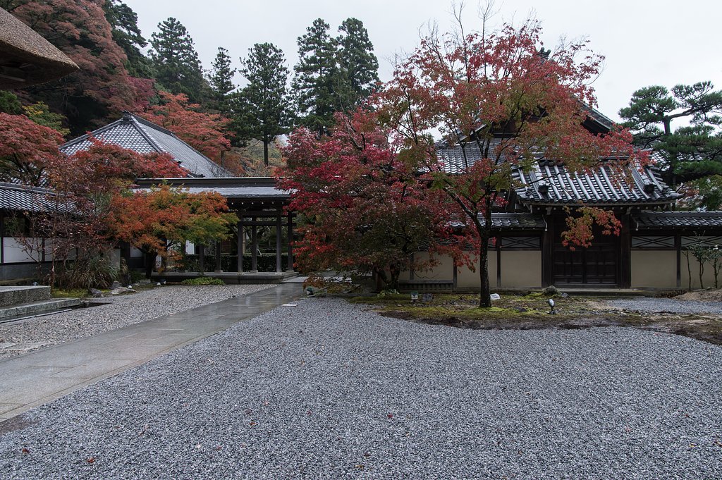 枯山水独り占め。。