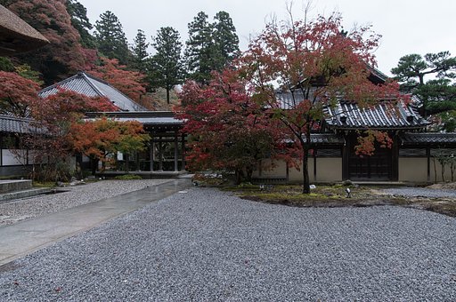枯山水独り占め。。