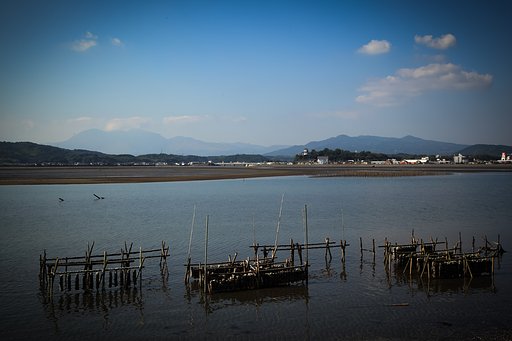 10月28日の写真