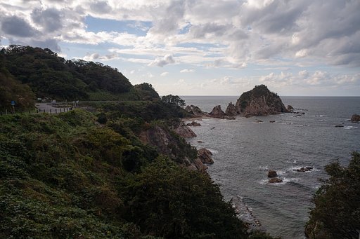 菜種五島!