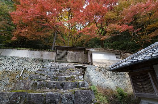SIGMA 10-20mm F4-5.6