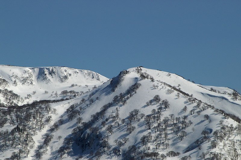 雪山にもやっと春の気配