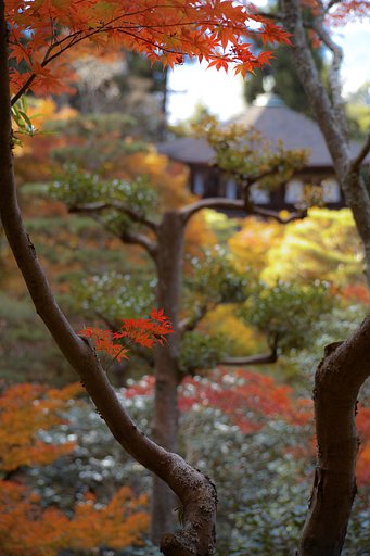 アンジェニューR45-90mm　F2.8